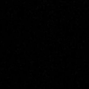 Meet your Posher, Dante